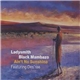 Ladysmith Black Mambazo Featuring Des'ree - Ain't No Sunshine